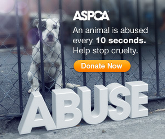 aspca-quote-image