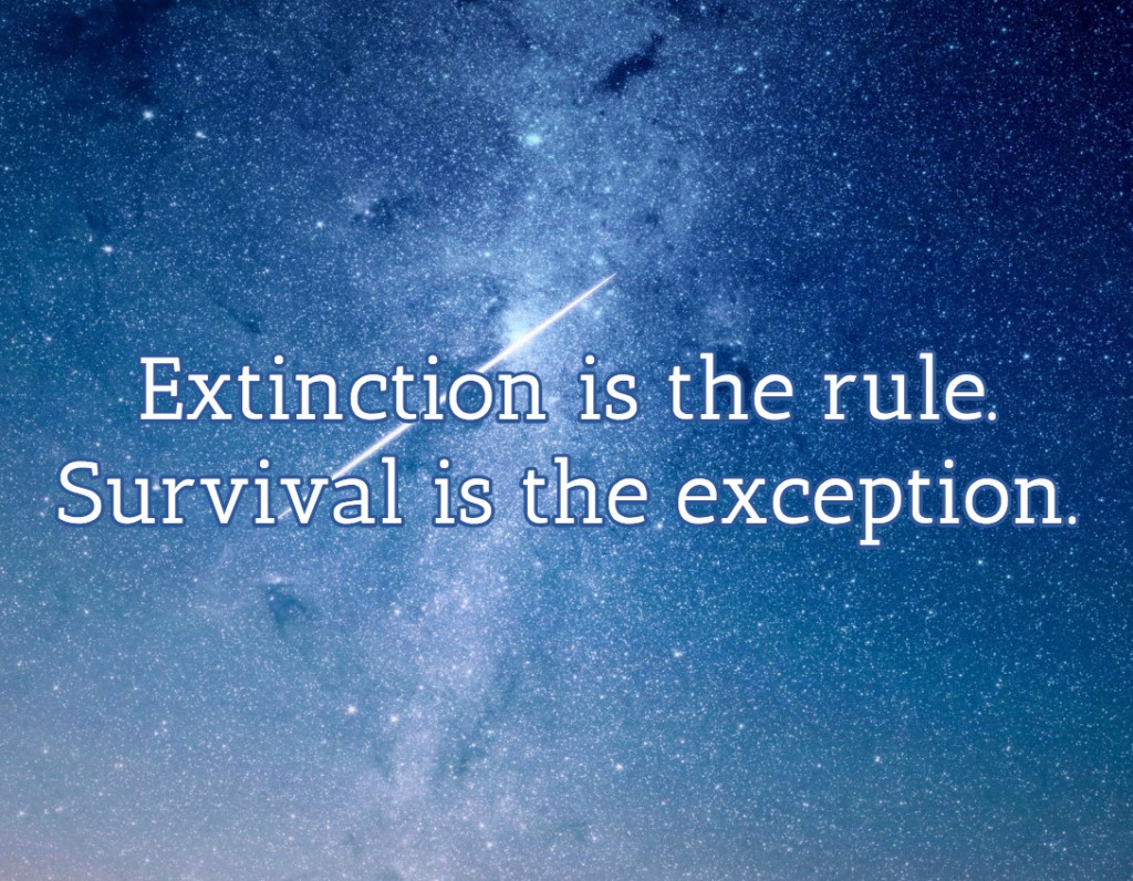 Extinction is a rule. Survival is the exception.