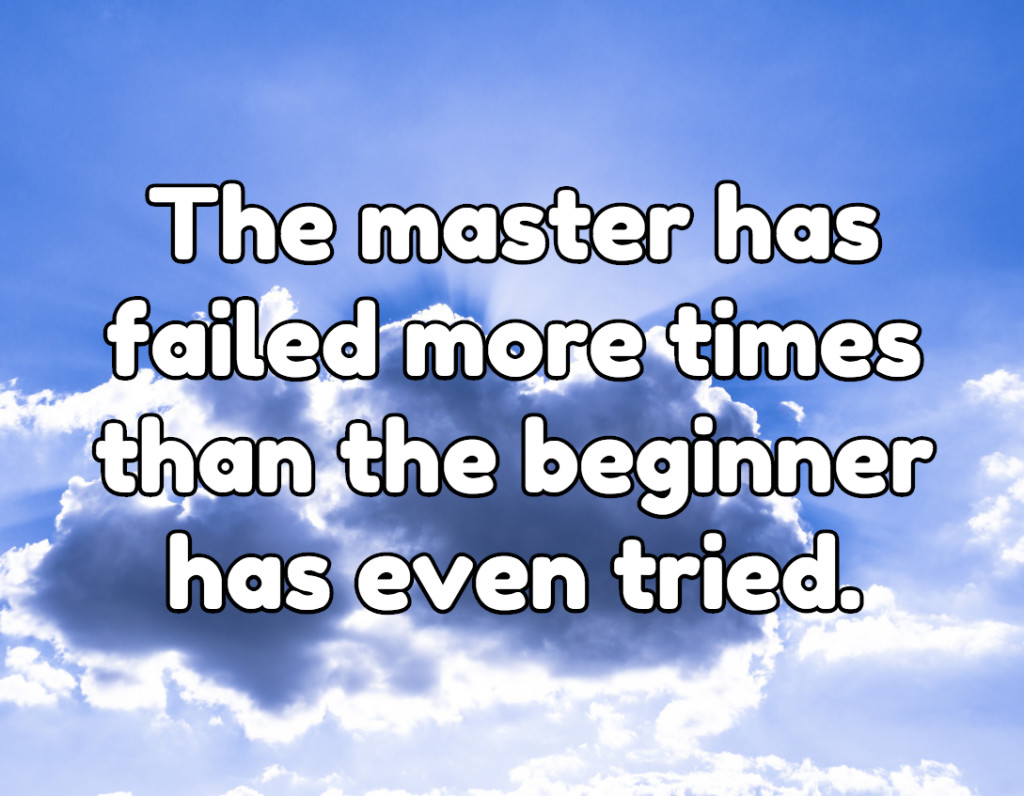 The master has failed more times than the beginner has even tried.