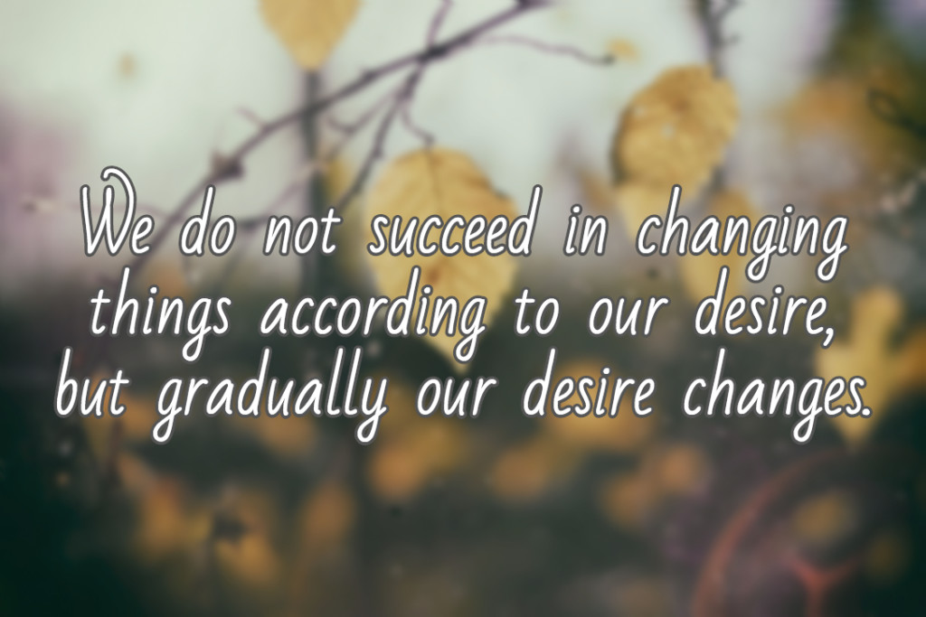 We do not succeed in changing things according to our desire, but gradually our desire changes.