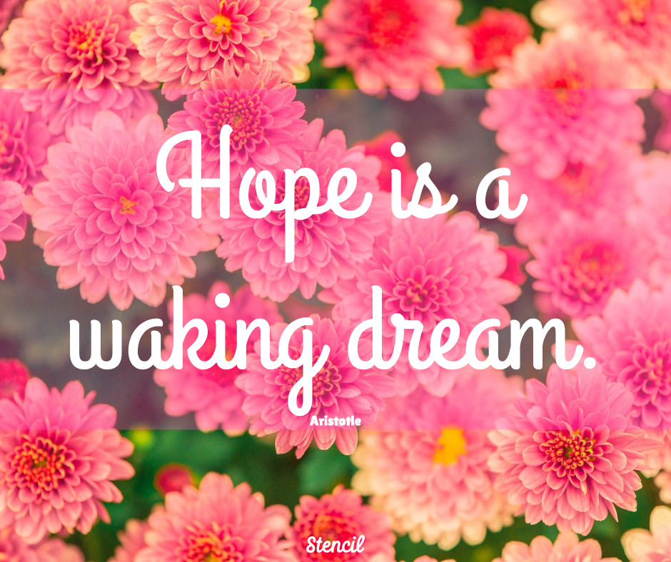 hope is a waking dream.