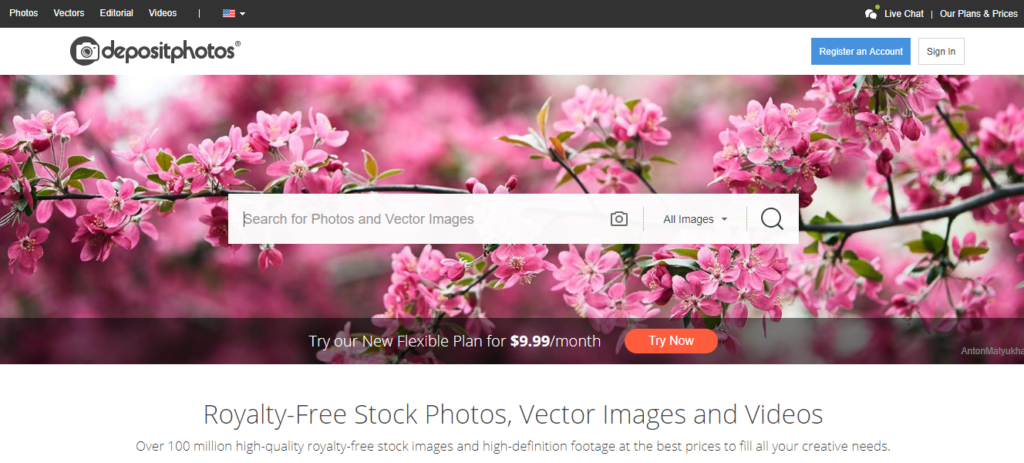 17 Best Free And Premium Stock Photo Sites In 2020