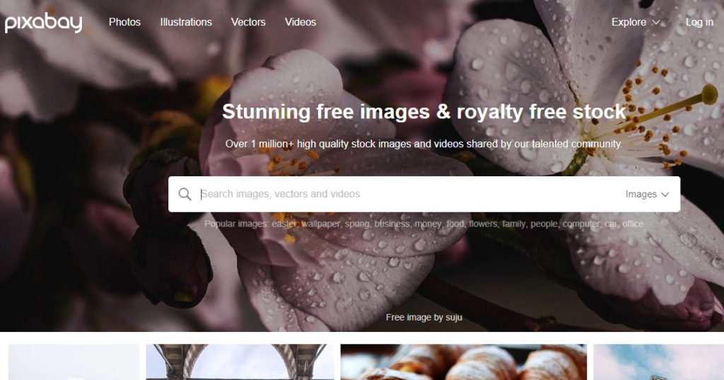 17 Best Free And Premium Stock Photo Sites In 2020