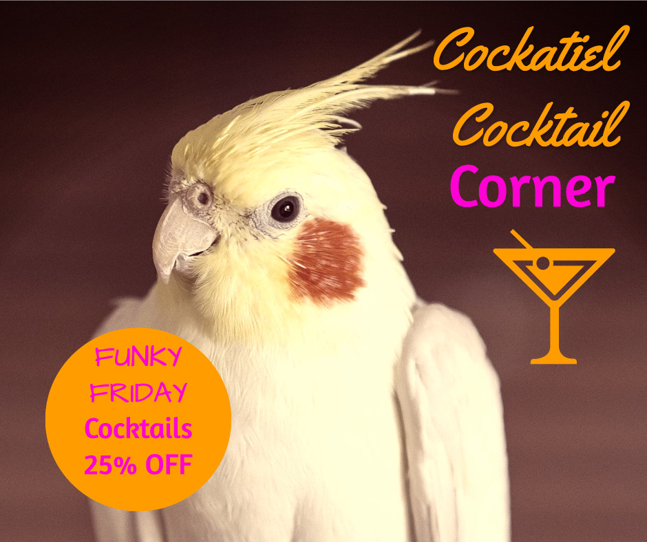 Cockatiel cocktail hot sale